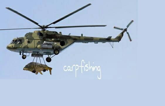 foto bune. - 1385820419917171441151311682501n.jpg